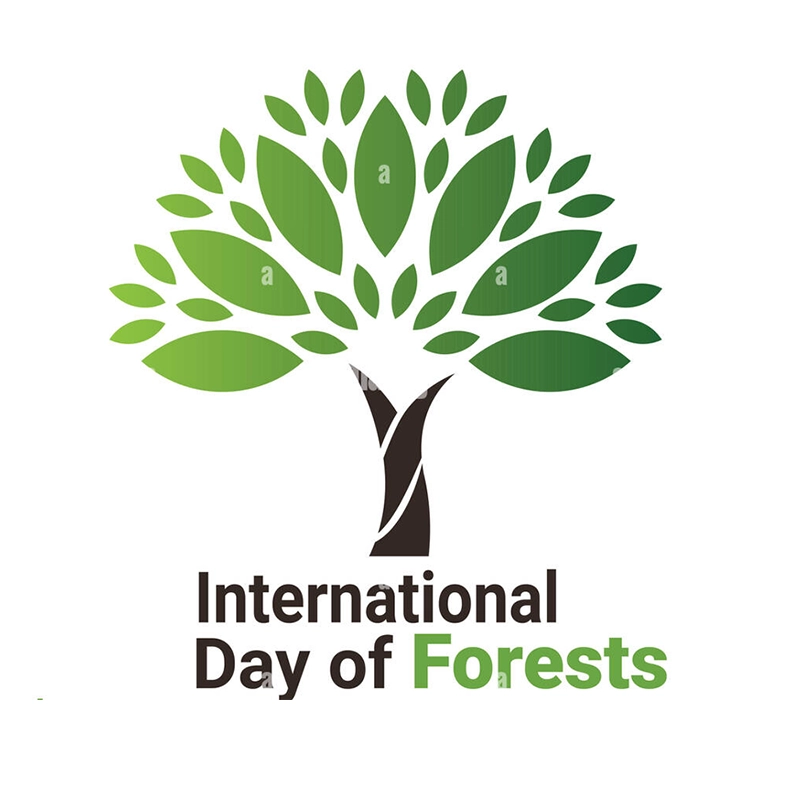 National Forest Day 