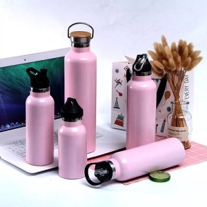 Vacuum Insulated Water Bottle Double Walled Stainless Steel Water Bottle with Carbineer  EL-TM51