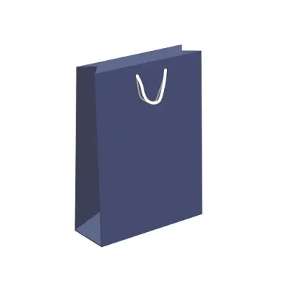 Laminated Paper Bags Blue