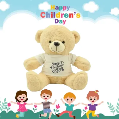 Children Day Gifts Teddy Bear Toys with Printable White Tshirt