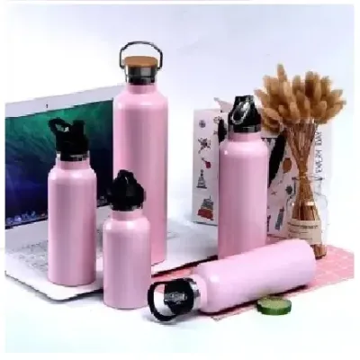 Vacuum Insulated Water Bottle Double Walled Stainless Steel Water Bottle with Carbineer  EL-TM51