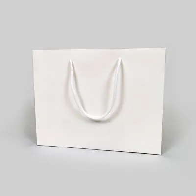 Laminated Paper Bags