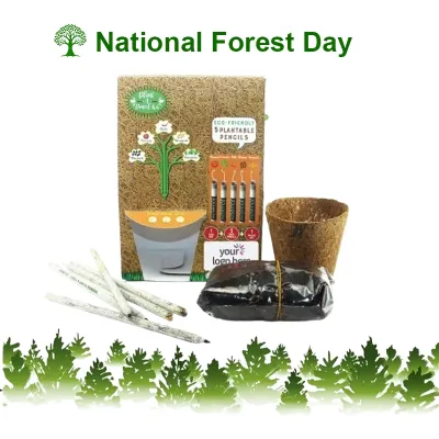 Plant A Pencil Kit ELSPS-02