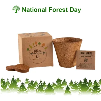 Plantable Kit with Ghaf Seeds in Kraft Box