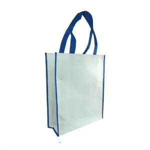 Promotional Non Woven Bags