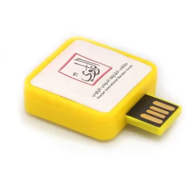 Twister 4, 8 or 16 GB USB Flash Drives Price in DUBAI UAE