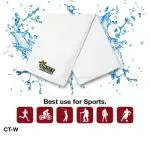 Instant-Cooling-Towels1613107258.webp