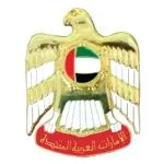 UAE Falcon Badges