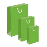 Laminated Paper Bags Green