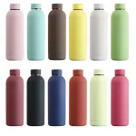Serpens Frosted Portable Stainless Steel Bottles