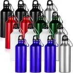 Phoenix Promotional reusable metal aluminum sports drink water Shiny bottle  with carabiner cover