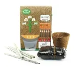 Plant A Pencil Kit ELSPS-02