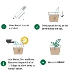 Plantable Pencil Kits