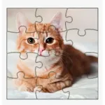 Customized Puzzles