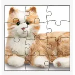 Customized Puzzles