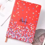 Argo Fully Customized Notebook