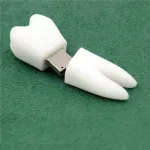 Dental Tooth Shaped USB Flash Drives Pen Drives Gifts For Dentists EL-USBM-02