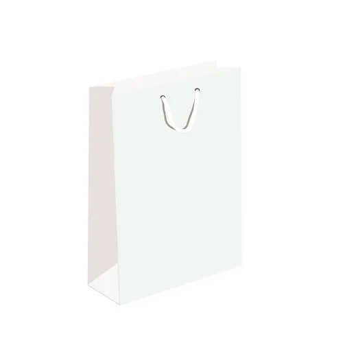 White Paper Bags