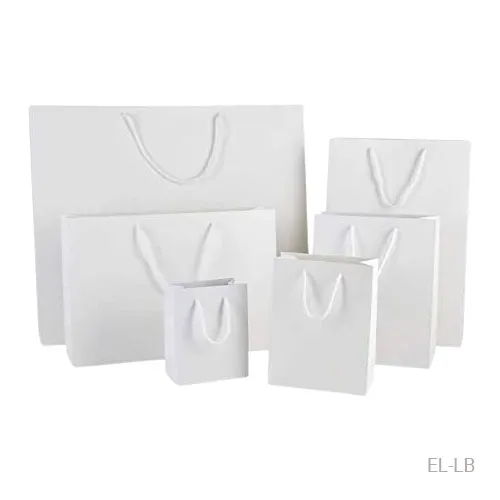 Laminated Paper portrait Bags