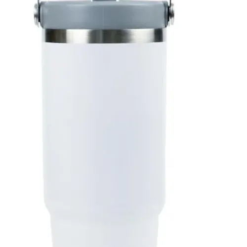 Rigel Tumbler with Handle & Straw Stainless Steel Double Wall