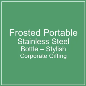 Sleek Frosted Portable Stainless Steel Bottle by Elzit