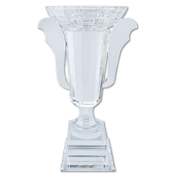 Crystal Trophy 