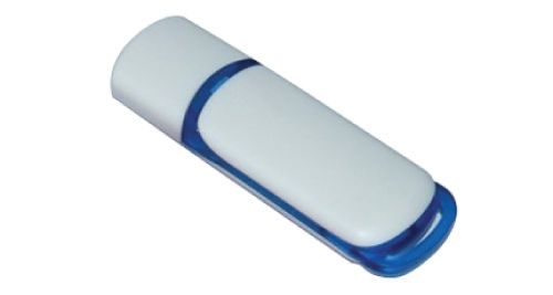 USB Flash Drives 8GB - White and Blue USB Flash Drives 8GB - White and Blue