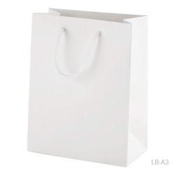 Laminated Paper Bags Shopping Bags Gift Bags