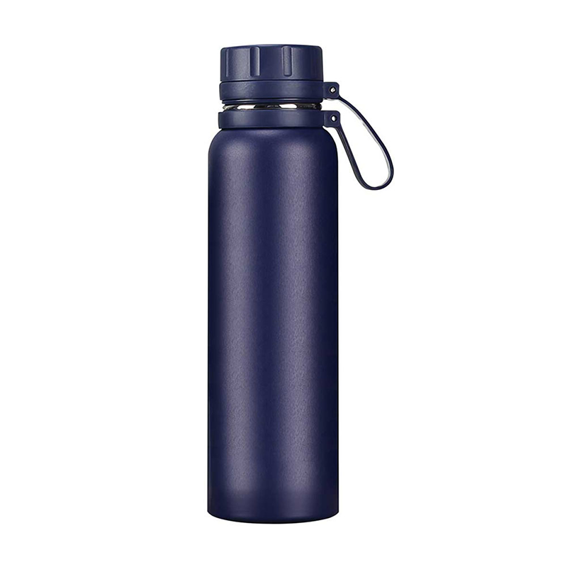 Cepheus Insulated Double Wall Thermal Water Bottle with Strong Gr