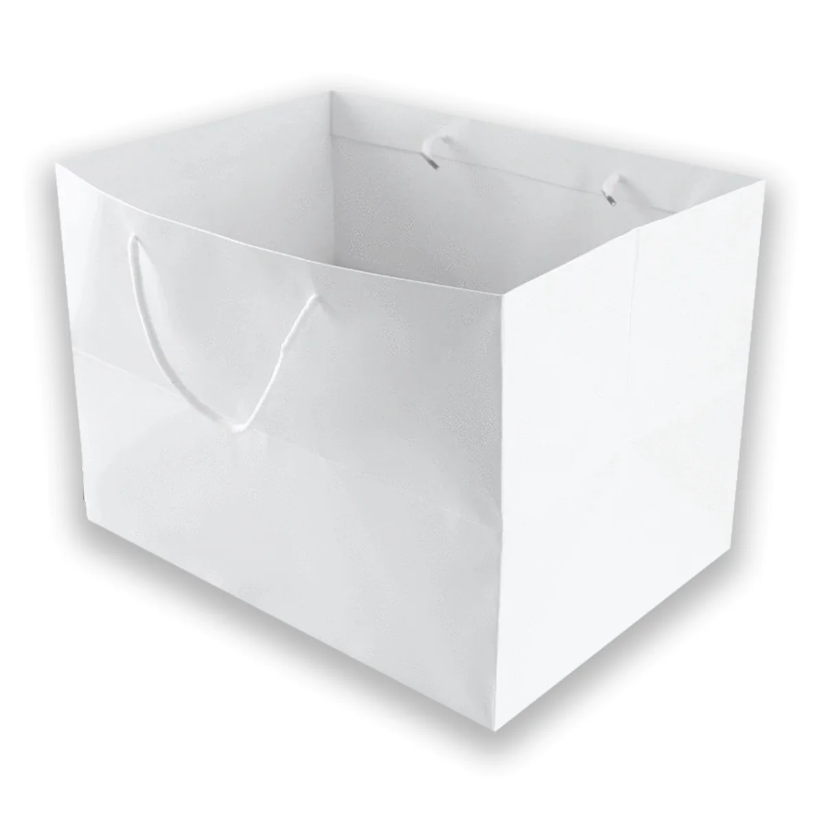 Luxury Square Shaped Paper Bags 
