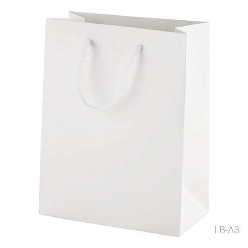 Laminated Paper Bags Shopping Bags - White